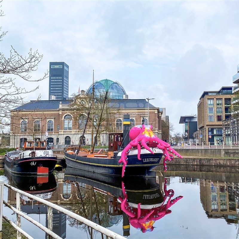 Large Inflatable Octopus with Long Tentacles for Outdoor Advertising /Party /Event /Halloween Decoration