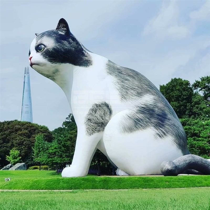 大猫.jpg