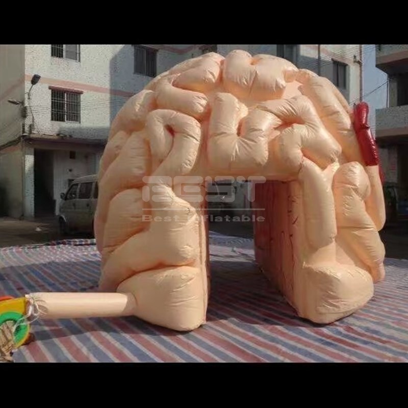 Attractive giant inflatable brain model customized inflatable organ brain tunnel model for display